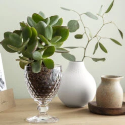 Villeroy & Boch Boston Tumblerglas 41 Cl -Geschirr Verkauf 570796 01 5 EnvironmentImage ed4d4e0f82